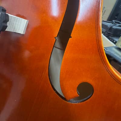 Eastman Strings. 3/4 Upright Bass. Concert Model.(Paige's)(2023)(Outfit) image 10