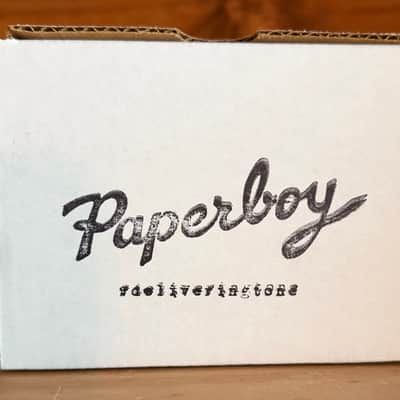 Paperboy Pedals Modified DS-1 2026 - Orange image 8