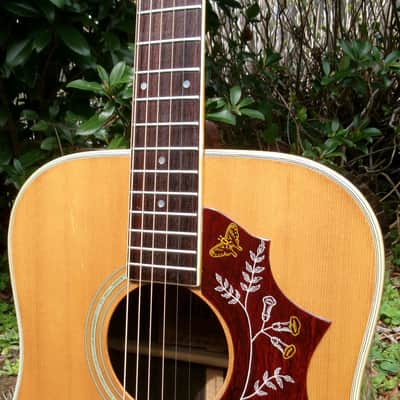 1974 Terada made Morris W25 Humming Bird Style image 2