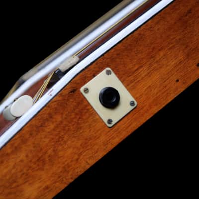 (Video) Double-Neck, non-Pedal Lap Steel w/Stand & OHSC image 17