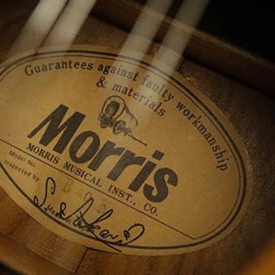 Rare 1980's Morris B-40 12 strings Acoustic Guitar Andes Rosewood Made in Japan image 11