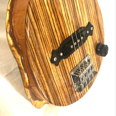 4 string Turtle shell slide guitar image 3