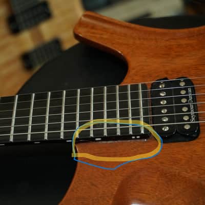 2006 Parker Fly Mojo Mahogany Piezo Duncan Pickups Hard Shell Case Tools 9 and 10 Springs image 14