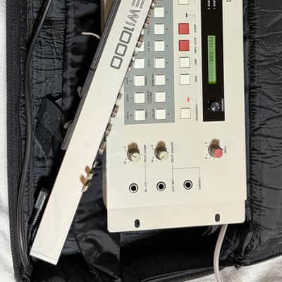 AKAI  EWI1000 & EWV2000 Maintained, Ready to Play! image 2