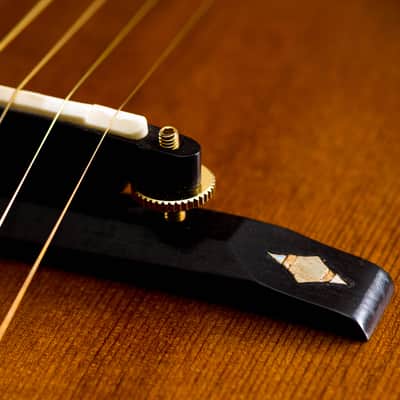 Argus DJ-23 Solid Carve L5 Jazz Archtop Hidesato Shiino ( Vestax Angelico ) 1980 3,0kg image 18