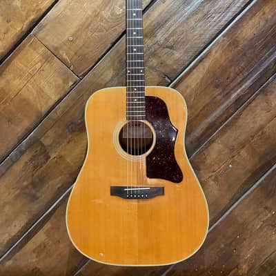 1980 Gibson J-55 Dreadnought Acoustic Guitar, Natural image 1