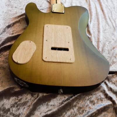 GB Liuteria Traditional Tele vegatrem - green poplar image 17