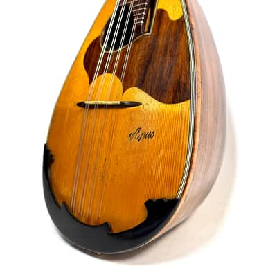 G. Kasermann Concert Mandolin (Apus Mark) 1920’s image 3