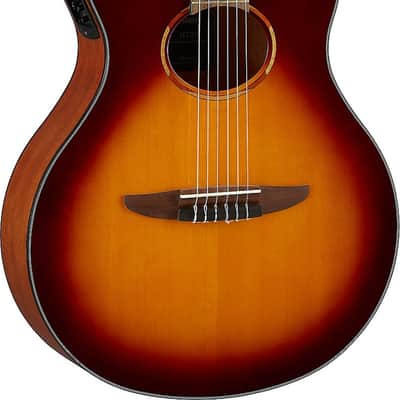 Yamaha NTX1 Thinline Acoustic-Electric Classical Guitar, Solid Spruce Top, Brown Sunburst image 2
