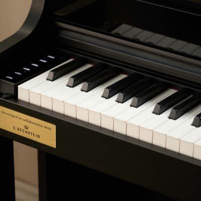 Casio AP-710 CELVIANO SERIES 2000-2025 image 6