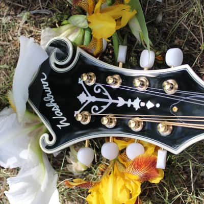 Washburn M3SWK Bluegrass F-Style Mandolin with Hardshell Case- Sunburst image 15