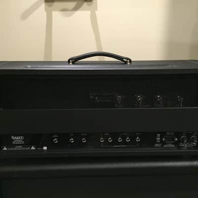 Friedman Naked 100 Watt Head w/ Saturation Switch image 2