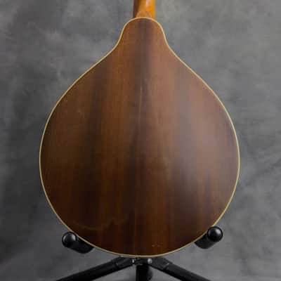 J. Reynolds JRMAN20 A-Style Mandolin image 15