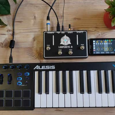 LOOPEREYE-B, The Smart Looper image 3
