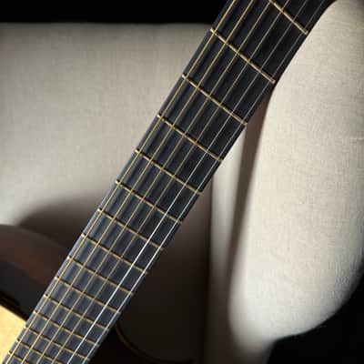 Brian Applegate SJ Fan Fret Multiscale Brazilian Rosewood image 14
