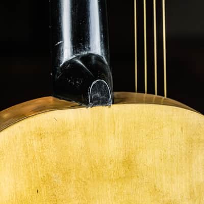 1950s Noname 10-string Guitar Lute natural image 9