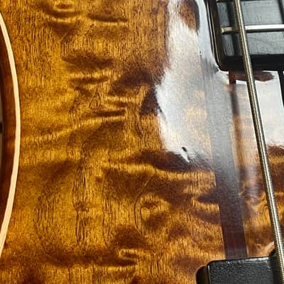 Peavey Cirrus 4 Quilt Top in Tiger Eye 2011 w/Gator Transit Bag image 4