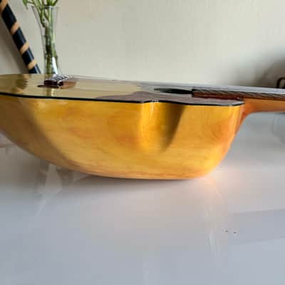 Ronroco Acoustic Electric Instrument (Charango Family) image 7