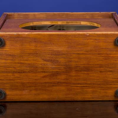 Dumble Overdrive Special OD-50 WX 1978 image 18