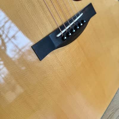Santa Cruz Model D-PW Custom Cocobolo image 12