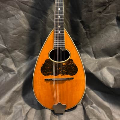 Washburn Bowlback Mandolin Stlye 215 - Brazilian Rosewood - Great Player -Org. Case - Clean! - Ships FREE!!! image 1