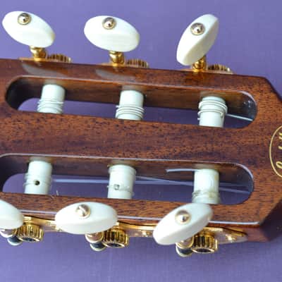 Bedell Performance Series OHN-18E-G Ac/El Nylon Parlor Guitar-GigBag- Rare Model image 14