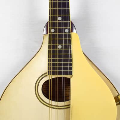 Gibson A-3 Mandolin 1919 - Ivory image 2