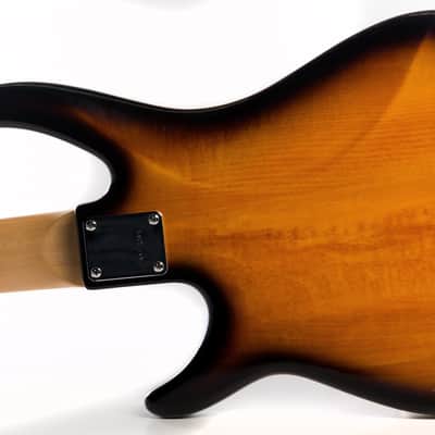 Peavey Milestone 5-String Electric Bass Guitar image 8