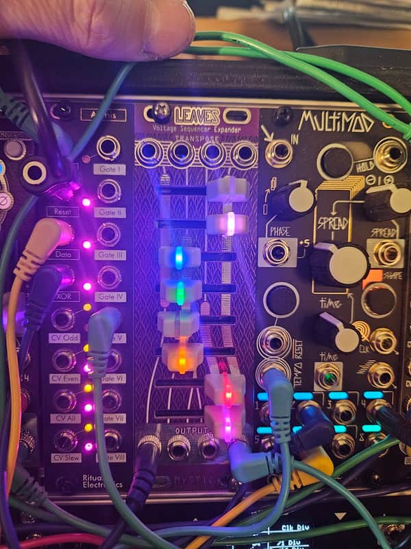 Mystic Circuits Leaves