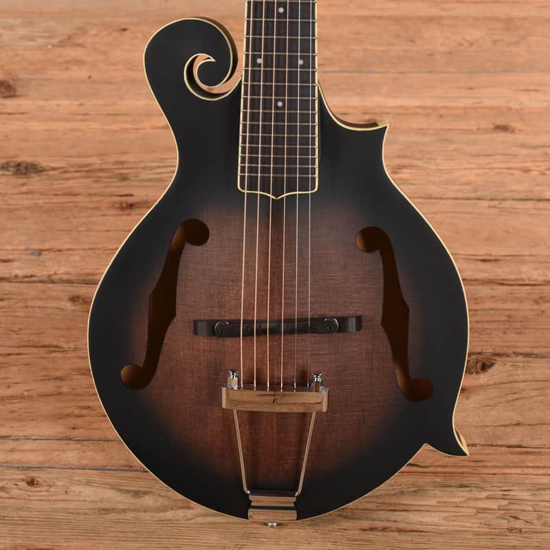 Gold-toned electric guitar in black velvet-lined case.