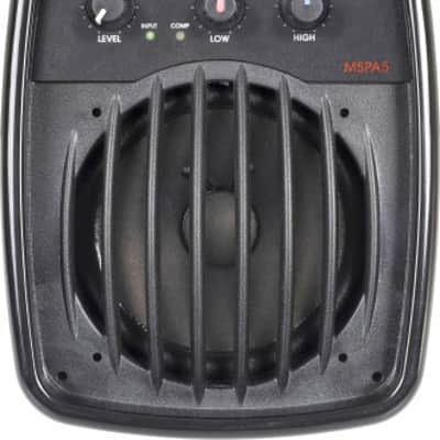 Galaxy Audio MSPA5 5 Active Personal Vocal Monitor 100W image 1