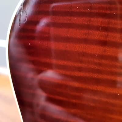 Yanuziello Viceroy Dark Autumn Burst image 13