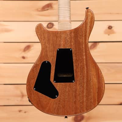 Paul Reed Smith Custom 24 Wood Library - Fire Red to Gray Black Fade-24 0386441 image 7