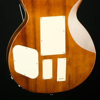 2022 Epiphone Alex Lifeson Les Paul Standard Axcess (Incl. EpiLite Case) image 12