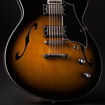 Rivolta Guitars Regata VII 2022 - Camino Burst image 2