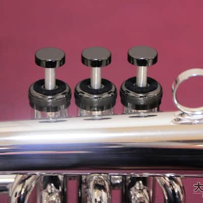 Brasspire Unicorn BPFG-850BS Black Nickel Trim (NEW) Flugelhorn image 5