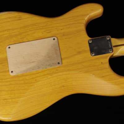 Fender Custom Limited Edition Masterbuilt Austin MacNutt Jerry Garcia Alligator Stratocaster Relic (#683) image 20