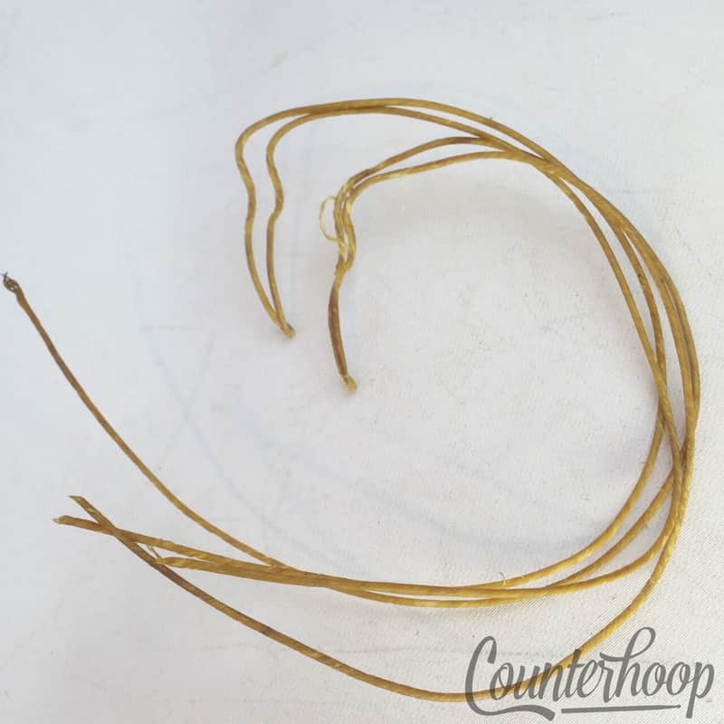 Ludwig Catgut(Sheep)Natural 12" Snare Drum Wires/4x Strands Vintage 10s Cat Gut image 1