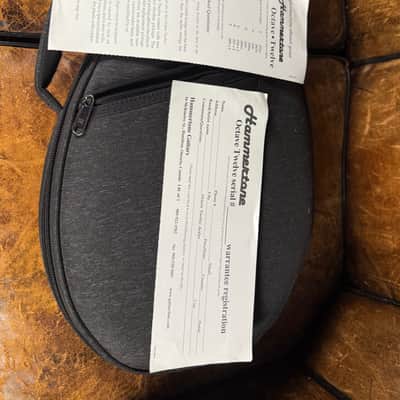 F Bass Hammertone Octave Twelve Deluxe Electric Guitar/Mandolin Hybrid image 8