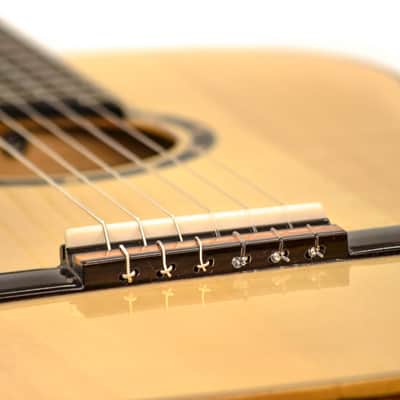 Ortega Guitars R121 Family Series Nylon 6-String Guitar w/ Free Bag, Spruce Top and Mahogany Body, Satin Finish image 3