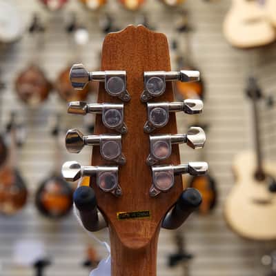 Gold Tone BZ-500 Irish Bouzouki Mandolin w/Hard Case image 8