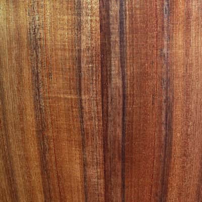 724ce Grand Auditorium / V-class Acoustic-Electric Guitar - Natural Hawaiian Koa image 10