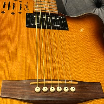 Godin A6 ULTRA 2009 image 10