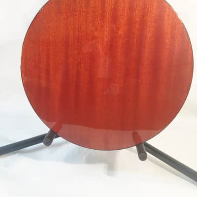 Danville 5-String Banjo-Pro Quality-24 Brackets-NEW-Shop Setup Included! image 5