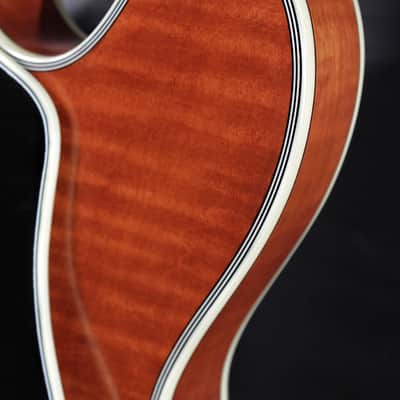 Eastman T59/TV-AMB Amber Semi-Hollowbody Electric Guitar image 12