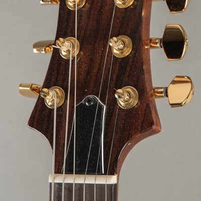Baldacci Bighorn Semi-Hollow 2020, Sunburst image 6