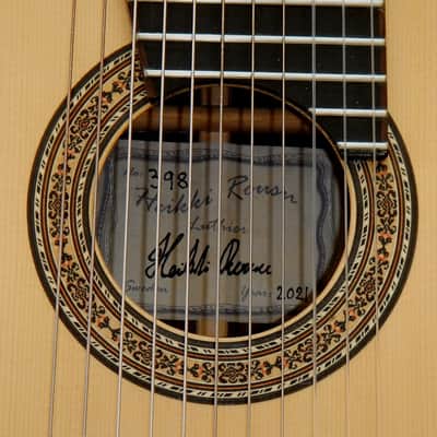 Heikki Rousu 11 string Alto guitar image 4