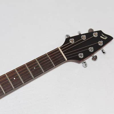 Breedlove Passport C250/CMe Acoustic-Electric Guitar image 6