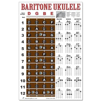 Baritone Ukulele Fretboard Notes & Chord Chart Poster 11x17 Beginner Easy Instruction Learn Book How image 5