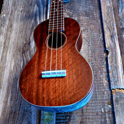 Eastman EU1-C Ukulele Concert image 12